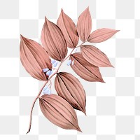 Pink leaf png sticker, transparent background