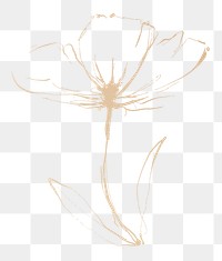 Drawing flower png sticker, transparent background