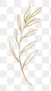 Drawing leaf png sticker, transparent background