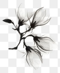 Black flower png sticker, transparent background