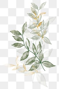 Watercolor leaf png sticker, transparent background