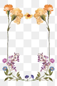 Aesthetic floral png frame, transparent background