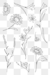 Png black floral pattern, transparent background