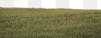 Grass field png border, nature transparent background