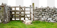 Sheep png border sticker, transparent background