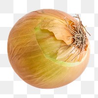 Onion vegetable png sticker, transparent background