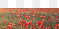 Poppy field png border sticker, beautiful scenery, transparent background