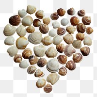 Heart of shells png sticker, transparent background