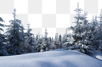 Winter forest png border sticker, transparent background