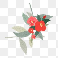 Red flowers png sticker, botanical design, transparent background