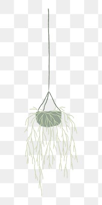 Rhipsalis png doodle houseplant sticker, transparent background