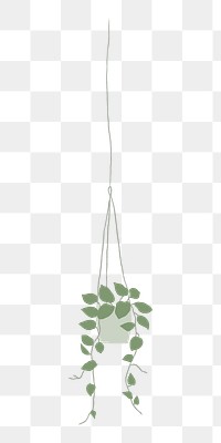 Pothos png doodle houseplant sticker, transparent background