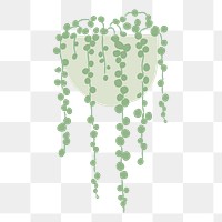 String of pearl png doodle houseplant sticker, transparent background