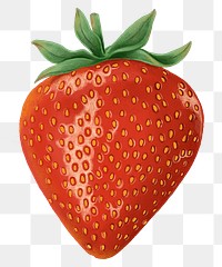 Realistic strawberry png sticker, hand drawn illustration, transparent background