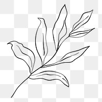 Png leaf line art  sticker, transparent background 