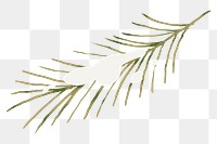 Snowy branch png winter sticker, transparent background