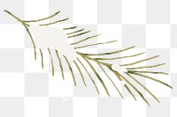 Snowy branch png winter sticker, transparent background