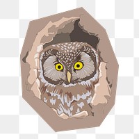 Owl png illustration, transparent background. Free public domain CC0 image.