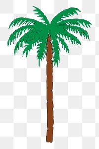 Coconut tree png illustration, transparent background. Free public domain CC0 image.