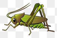 Grasshopper png illustration, transparent background. Free public domain CC0 image.