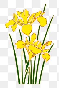 Flower png illustration, transparent background. Free public domain CC0 image.