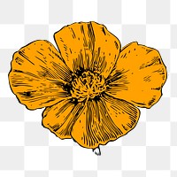 Flower png illustration, transparent background. Free public domain CC0 image.