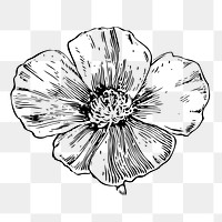 Flower png illustration, transparent background. Free public domain CC0 image.