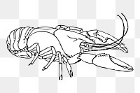 Lobster line art png illustration, transparent background. Free public domain CC0 image.