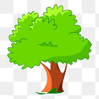 Tree png illustration, transparent background. Free public domain CC0 image.