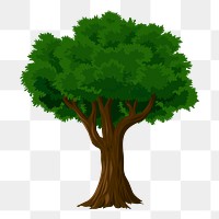 Tree png illustration, transparent background. Free public domain CC0 image.