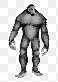 Gorilla monkey png illustration, transparent background. Free public domain CC0 image.