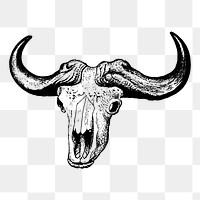 Bull skull png  illustration, transparent background. Free public domain CC0 image.