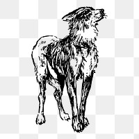 Old German Shepherd dog png illustration, transparent background. Free public domain CC0 image.