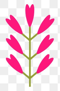 Flower png illustration, transparent background. Free public domain CC0 image.