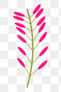 Flower png illustration, transparent background. Free public domain CC0 image.