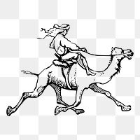 Camel riding png  illustration, transparent background. Free public domain CC0 image.