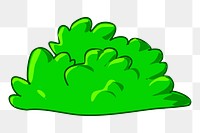 Bush png illustration, transparent background. Free public domain CC0 image.