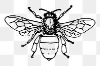 Bee png illustration, transparent background. Free public domain CC0 image.