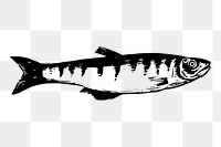 Fish png illustration, transparent background. Free public domain CC0 image.