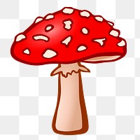 Fly agaric png illustration, transparent background. Free public domain CC0 image.