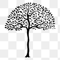 Tree png illustration, transparent background. Free public domain CC0 image.