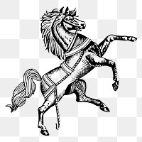 Horse png illustration, transparent background. Free public domain CC0 image.