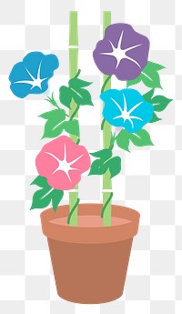 Morning glory flower png illustration, transparent background. Free public domain CC0 image.