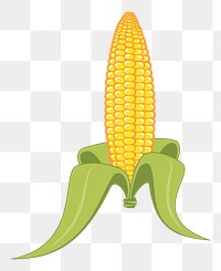 Corn png illustration, transparent background. Free public domain CC0 image.