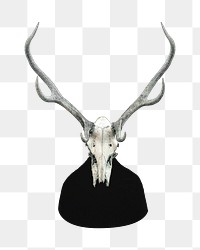 Deer skull png sticker, transparent background