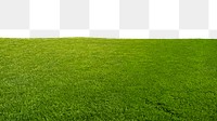 Grass field png border sticker,  transparent background