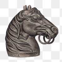 Horse head illustration png sticker, transparent background