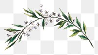 Flower branch png nature  sticker, transparent background