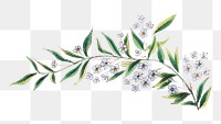 Flower branch png nature  sticker, transparent background