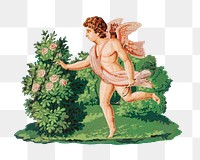 Vintage cupid png Valentine's illustration sticker, transparent background